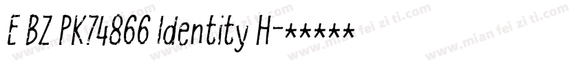 E BZ PK74866 Identity H字体转换